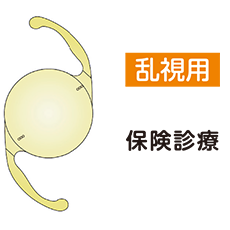単焦点レンズ　乱視用／保険診療