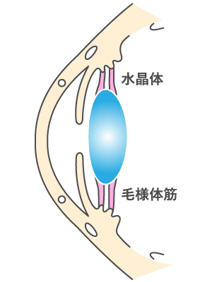 遠くをみているとき