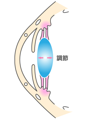 点眼を行う