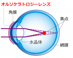 装用中